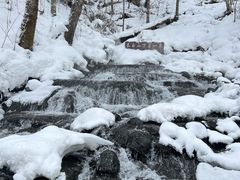 -峡谷浮石林景区