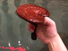 -汉拿山温泉度假酒店