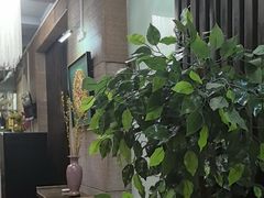 -金枝玉叶上海人家食府(三里河店)