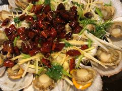 -鲁前海沿儿