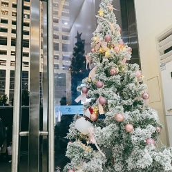 -3AM HAIR SALON染发接发