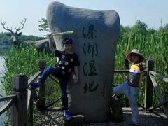 景点-溱湖国家湿地公园