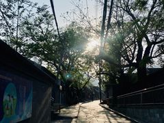 -香山公园