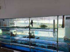 -海月湾海景餐厅( 嵊泗本地老字号店)