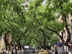 -百年尹氏汤包(湖南路狮子桥店)