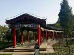 -金城公园