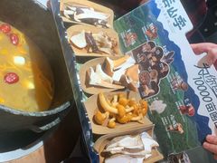 -芸山季·云南山珍菌火锅(人民广场来福士店)