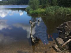 -五营红松林海景区