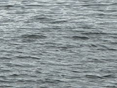 -台场海滨公园船码头