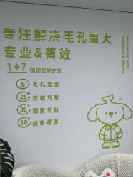 -凡碧诗毛孔清洁收细