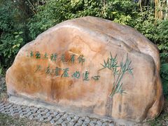 -深圳龙潭公园