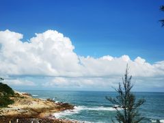 -广东惠东海龟国家级自然保护区