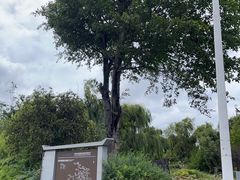 -洱海月湿地公园