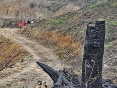 -缙云山景区