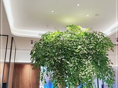 -眉州东坡(大悦城店)