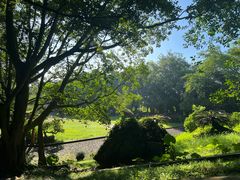 -海口火山口国家地质公园