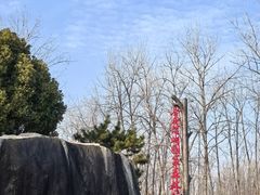 -合肥滨湖国家森林公园