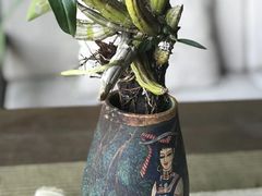 -大可堂普洱茶馆(襄阳南路馆)
