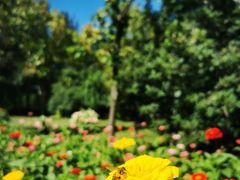 -长春公园(普阳街道)