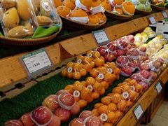-果叔叁拾加(锦绣生态园店)