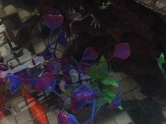 -孙家面馆(小康城店)