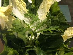 -百年果林椰子鸡(中洲店)