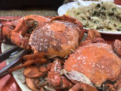 -蚝乡农庄(铁涌赤岸店)