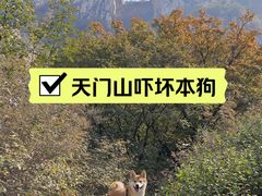 -北京密云天门山风景区