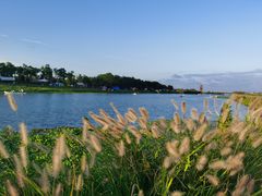 -春花秋色城市公园