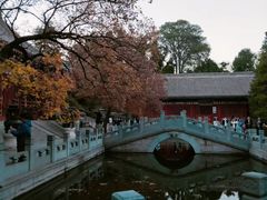 -香山公园