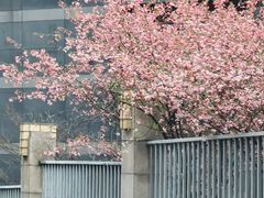 -地中海传奇水汇