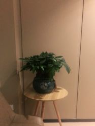 点击看大图 -婳香·女性英式芳疗SPA