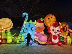 -沈阳奥体冰雪嘉年华