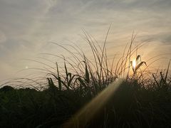 -苏州湾体育公园