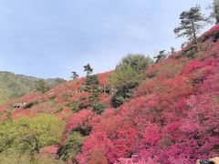 -木兰云雾山