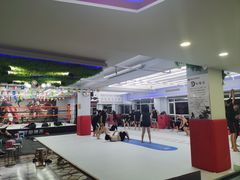 -津武堂散打搏击俱乐部(河西店)