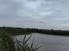 -宁波杭州湾国家湿地公园