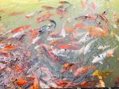 -兰溪地下长河