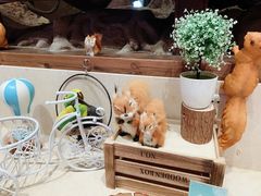 -杭州开元森泊度假乐园