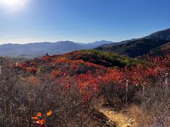 -香山公园