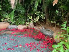 -厦门日月谷温泉渡假村