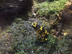-暹罗海洋世界