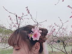 -兰陵国家农业公园