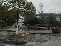 -白马涧龙池景区