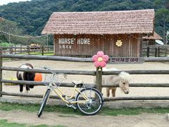 -龙岩森林水乡景区