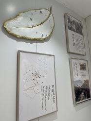 -镁连社·美联社