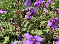 -汉长安城未央宫国家考古遗址公园