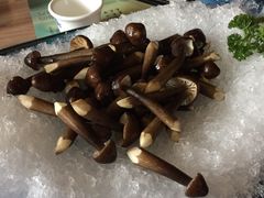 -探窝·竹笙椰子鸡(杨箕店)