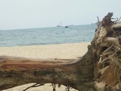 -玫瑰海岸文化旅游度假区
