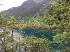 -九寨沟-树正沟